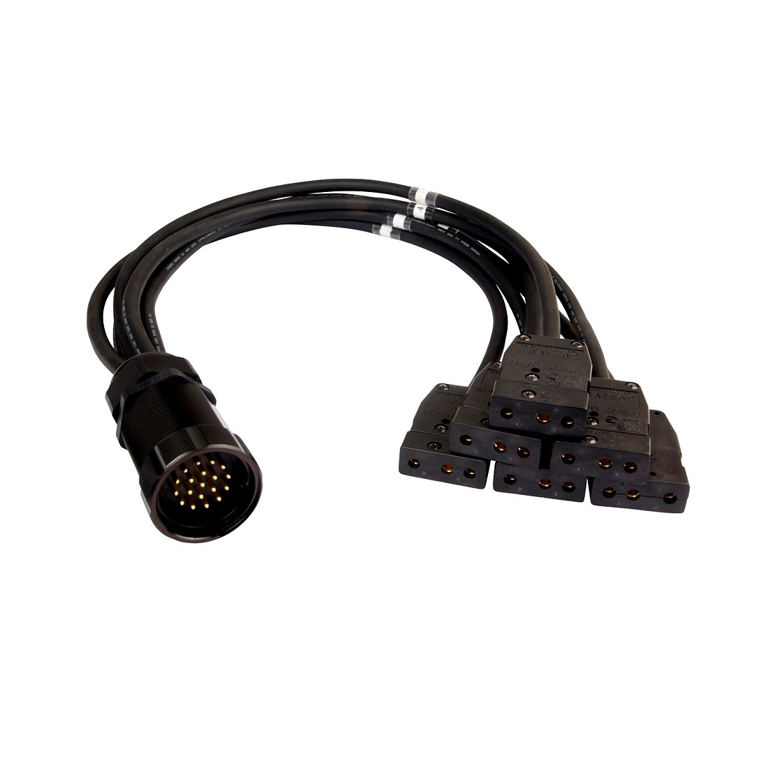 Cable, Socapex 19-Pin Stagepin Break Out