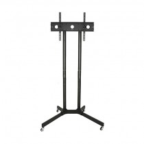 LED Monitor Floor Stand - up to 80"